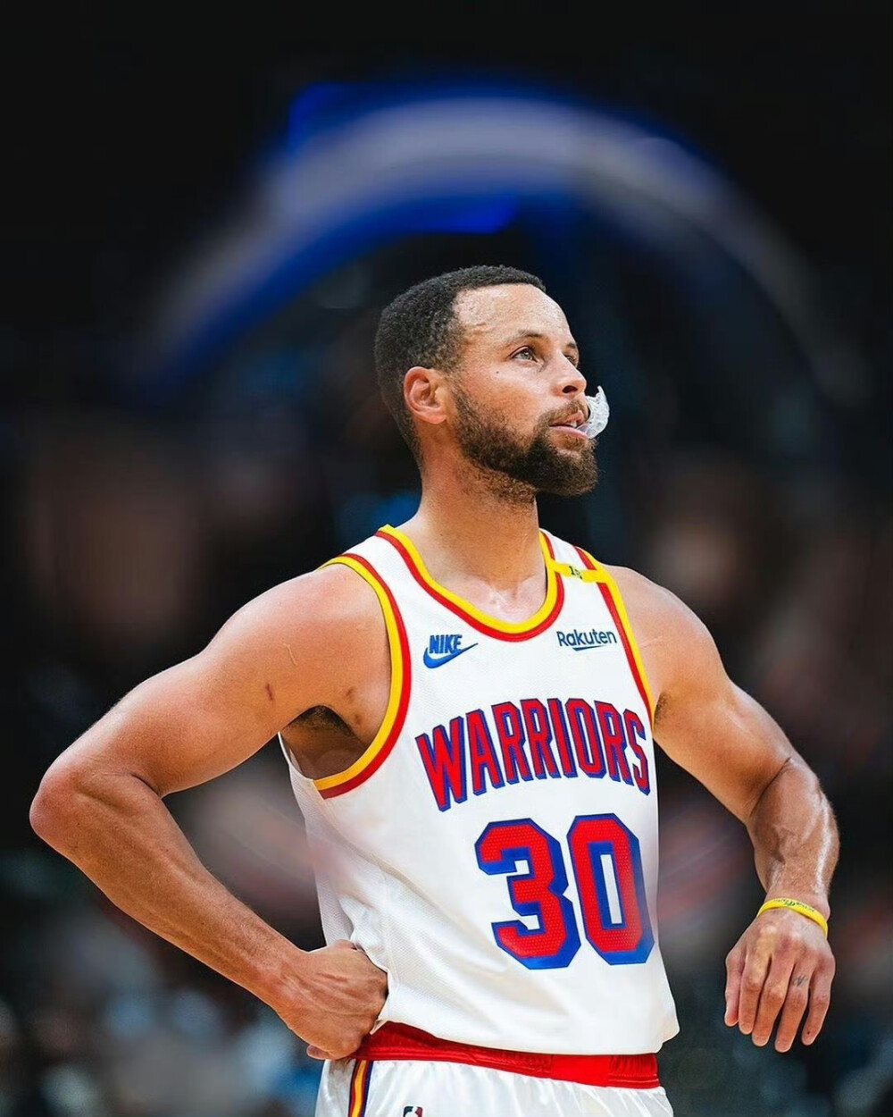 了可重复的 了可重复的